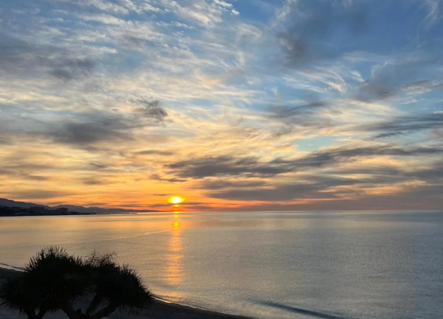 Alma'S Dream Estepona 0*,